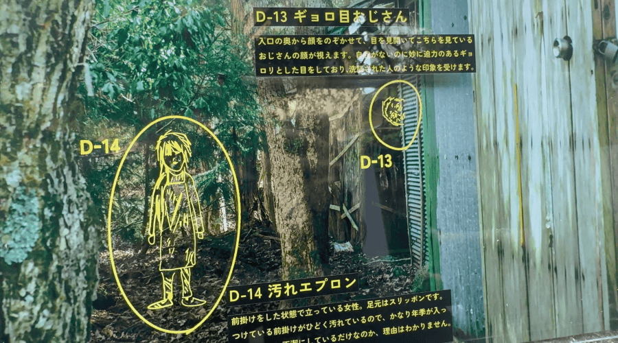 樹海で撮影された森林の写真