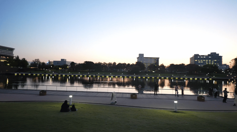 スタバから見る公園