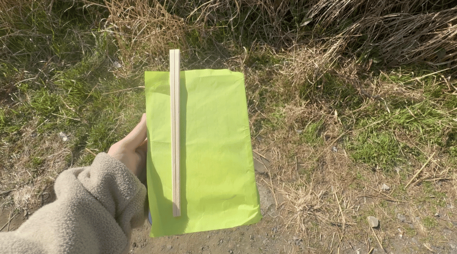 開封前のお弁当