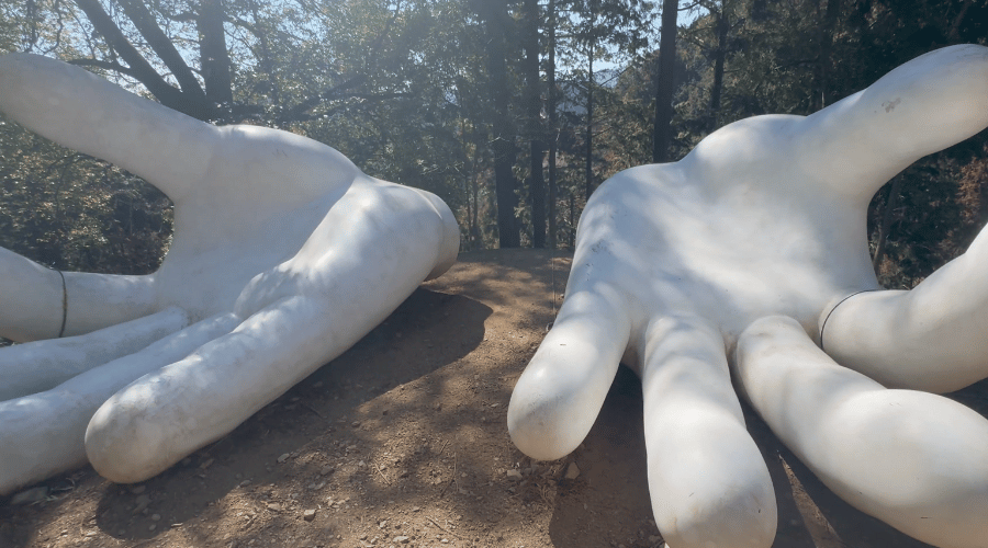 近くで見た巨大な白い手