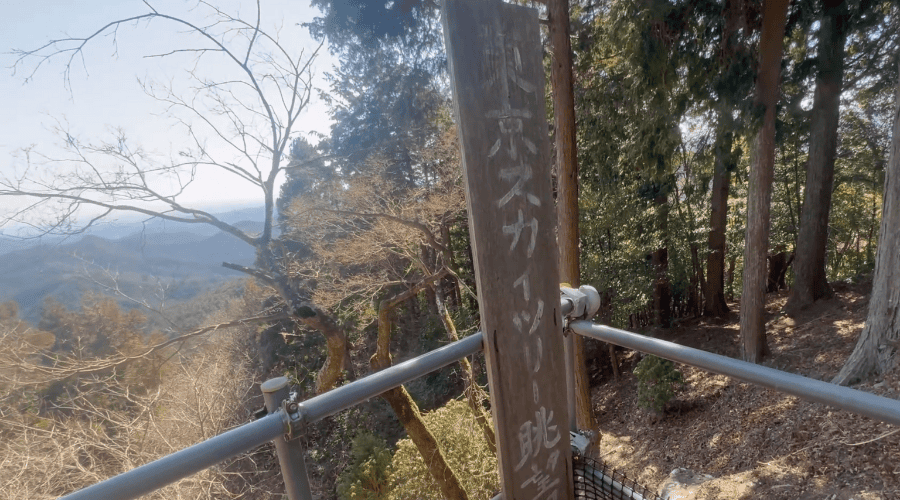 スカイツリーが見える景色