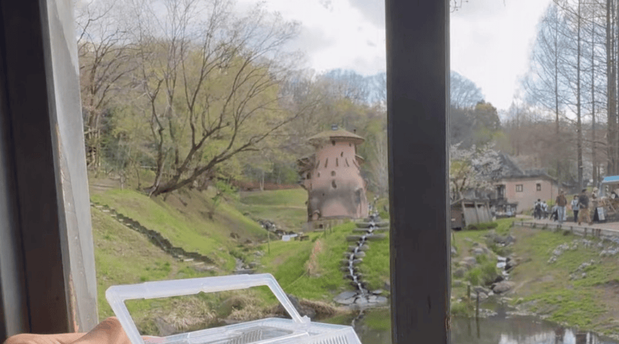 窓から見たキノコの家