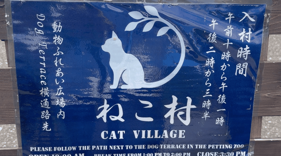 猫村