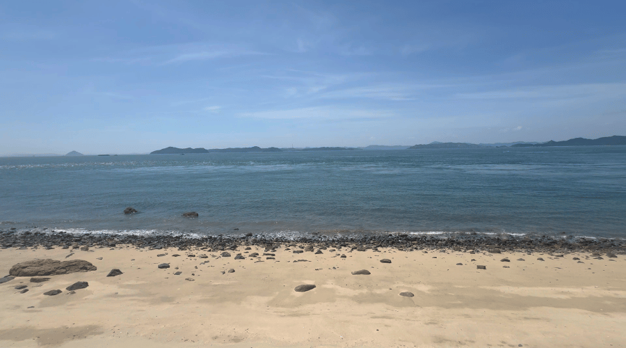 海