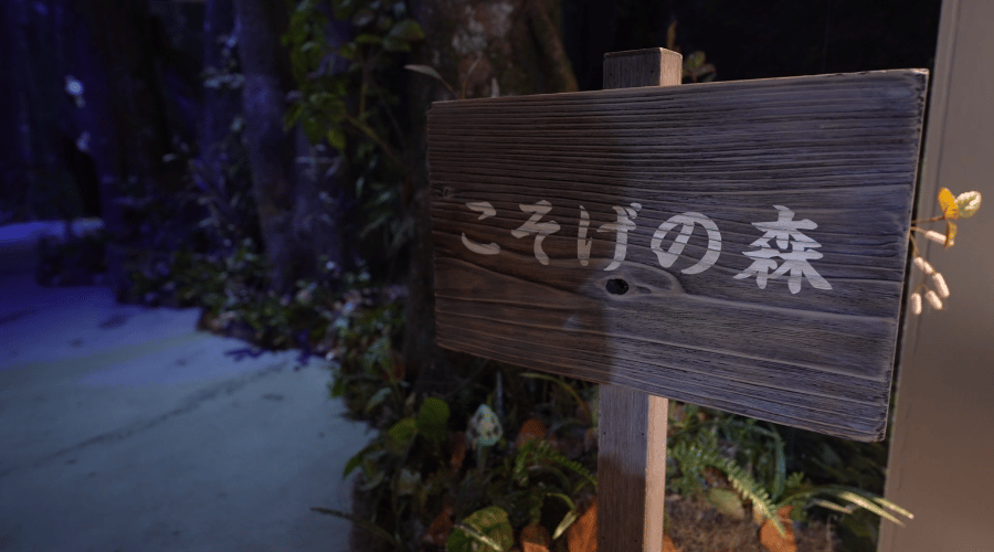 こそげの森