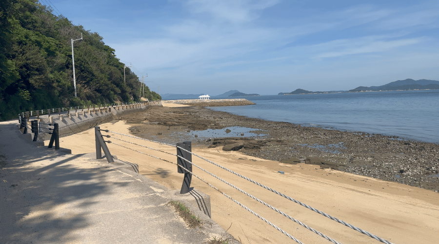 海沿い