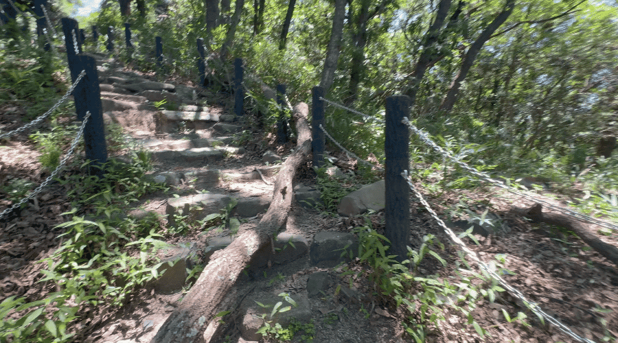 山道
