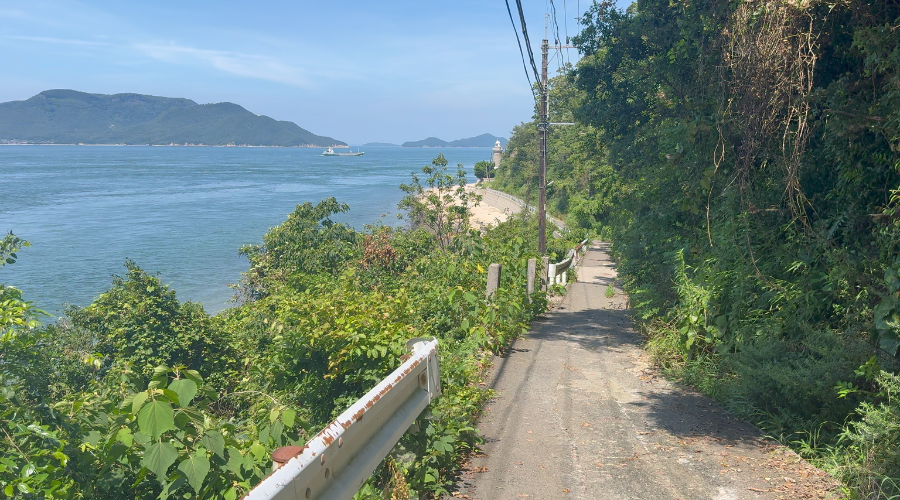 海遠くから見た