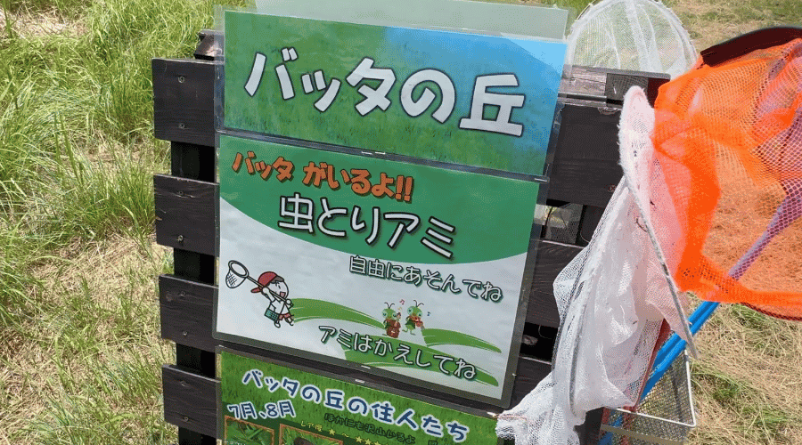 バッタの丘