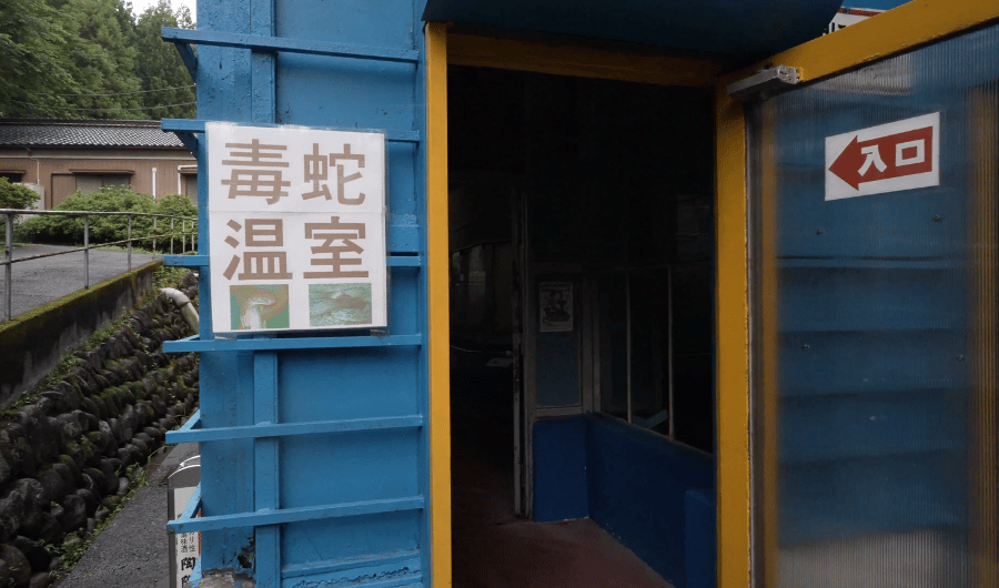 毒蛇温室の展示